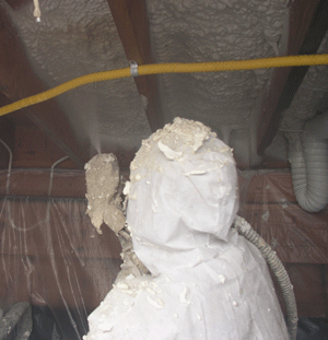 Jupiter FL crawl space insulation